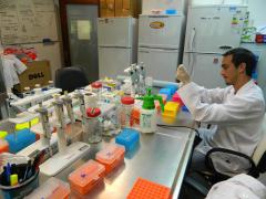 Laboratorio de Virología Molecular Salto