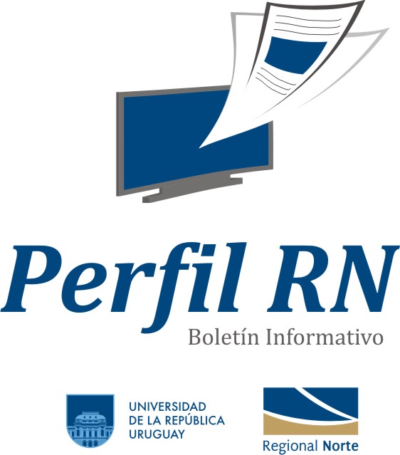 Perfil RN Logo